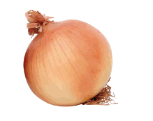 Fresh Red Onion